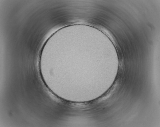 X0000111221149200908131055