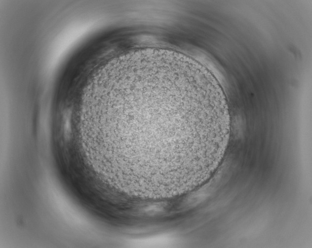 X0000111221150200908131055