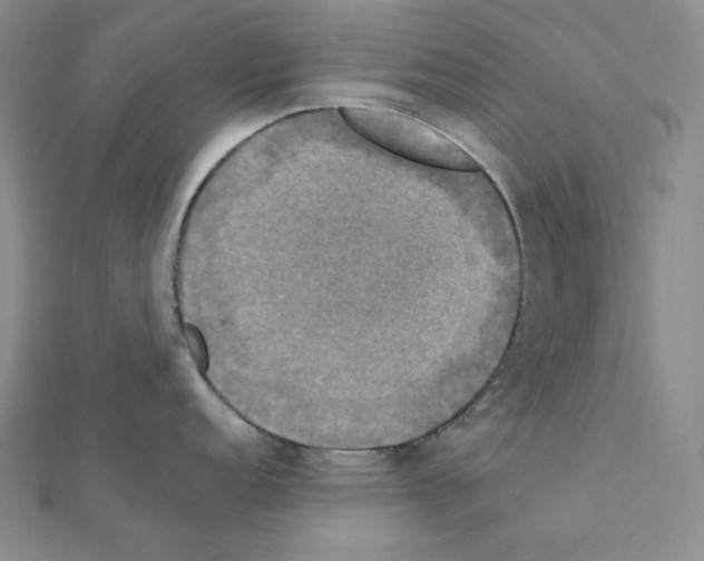 X0000111221152200908131055