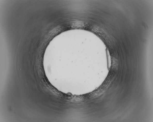 X0000111221153200908131055