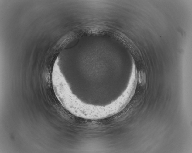 X0000111221155200908131055