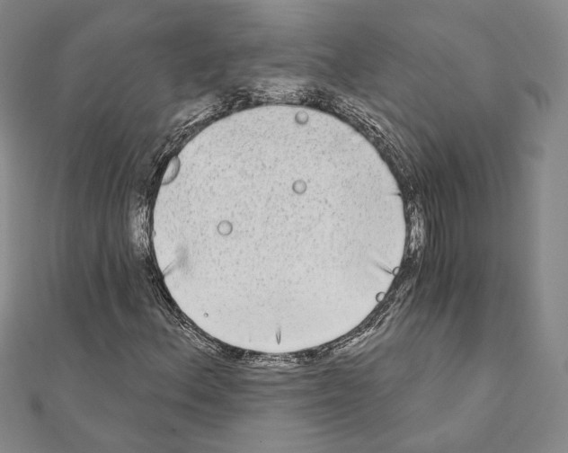 X0000111221156200908131055