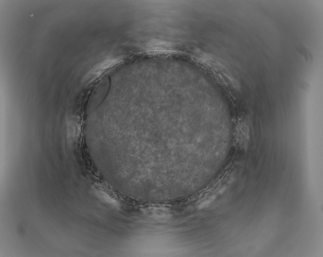 X0000111221157200908131055