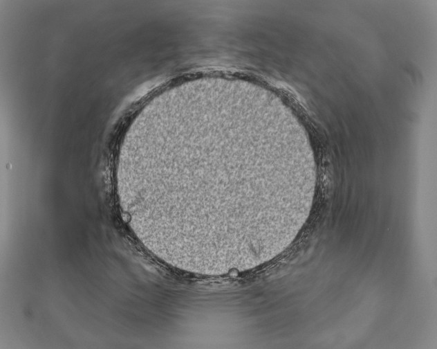 X0000111221159200908131055