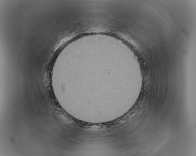 X0000111221160200908131054