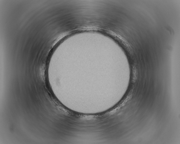 X0000111221162200908131054