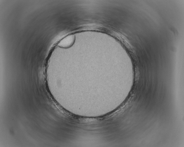 X0000111221164200908131054