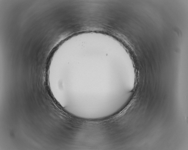 X0000111221165200908131054
