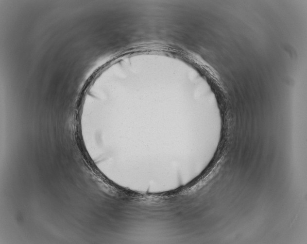 X0000111221166200908131054