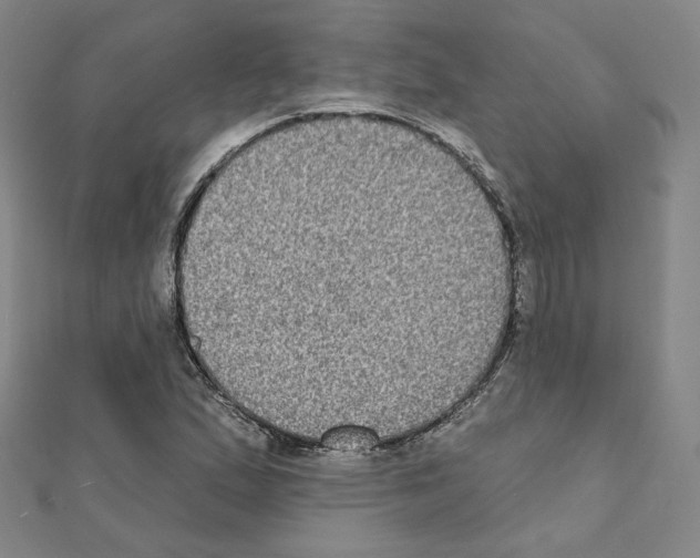 X0000111221167200908131054