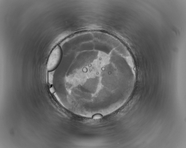 X0000111221171200908131054