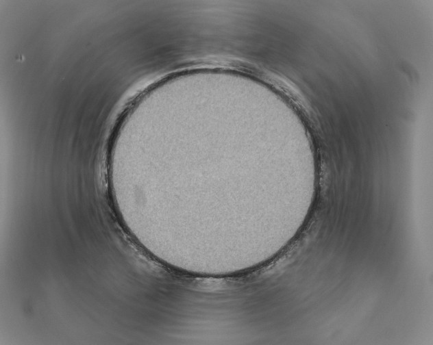 X0000111221172200908131054