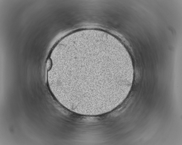 X0000111221175200908131054