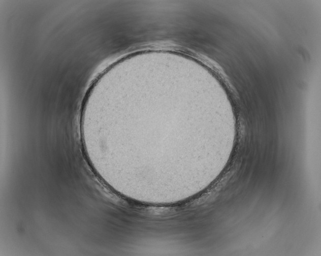 X0000111221176200908131054
