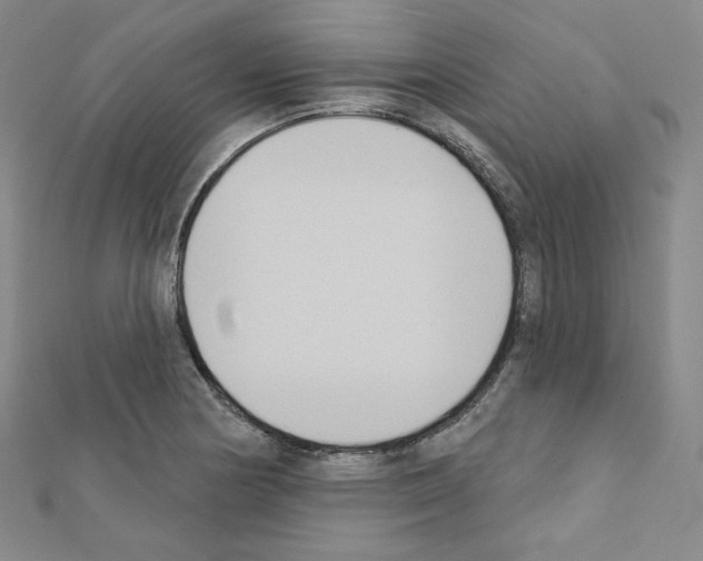 X0000111221178200908131054
