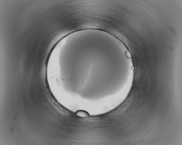 X0000111221179200908131054