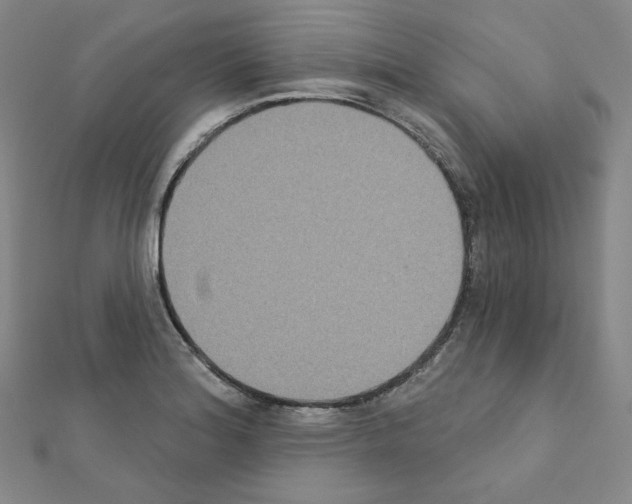 X0000111221180200908131054