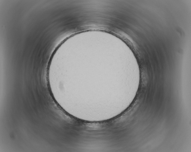 X0000111221182200908131054