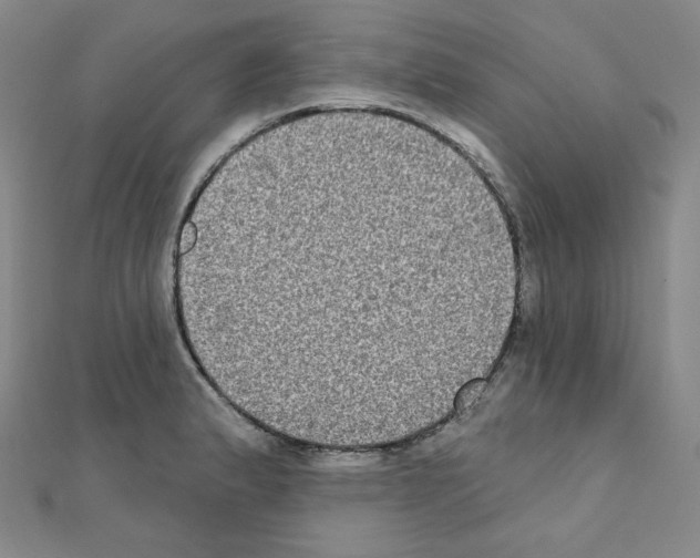 X0000111221183200908131054