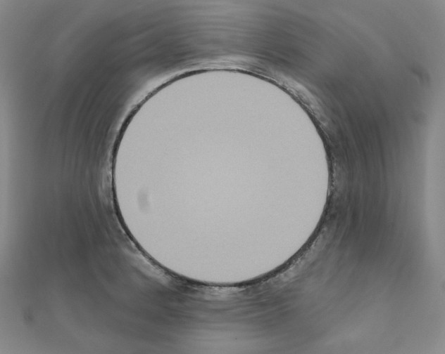 X0000111221184200908131054