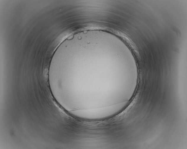 X0000111221185200908131054