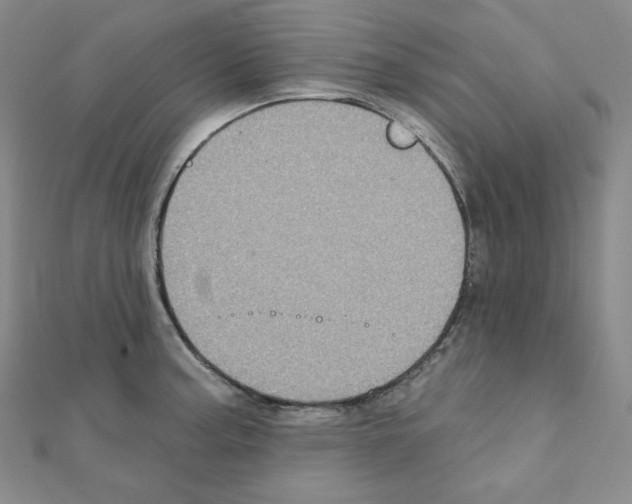 X0000111221187200908131054
