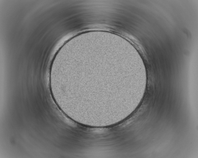 X0000111221188200908131054