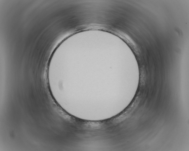 X0000111221190200908131054