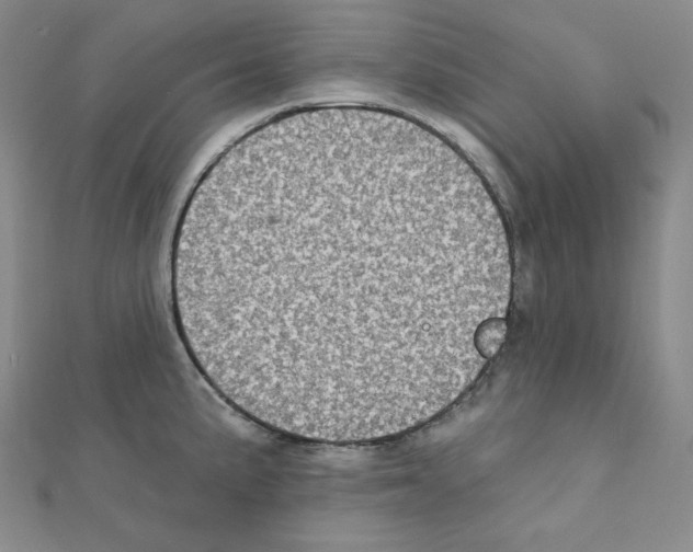X0000111221191200908131054