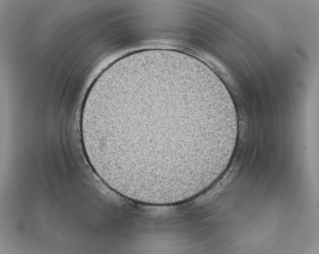 X0000111221192200908131054