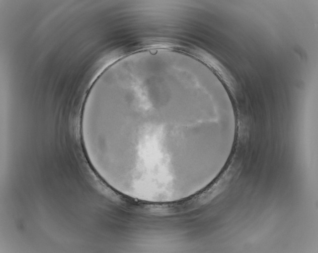 X0000111221194200908131054