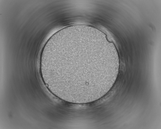X0000111221195200908131054