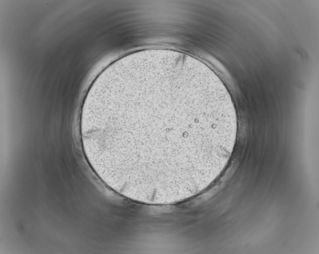 X0000111221196200908131054