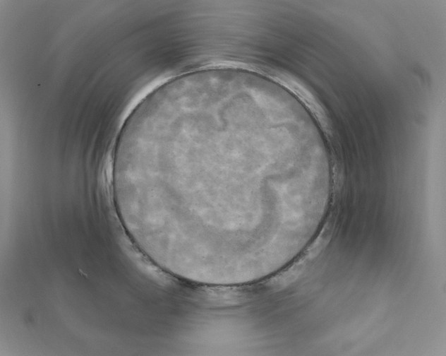 X0000111221198200908131054
