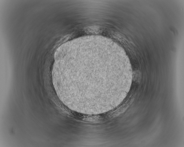 X0000111221201200908131053