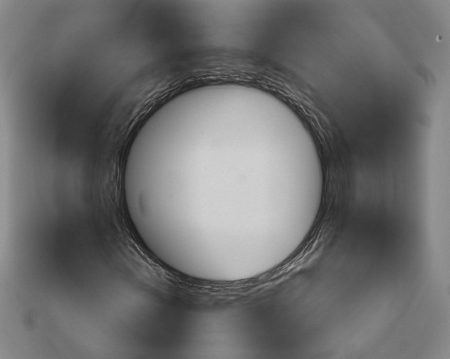 X0000111221202200908131053