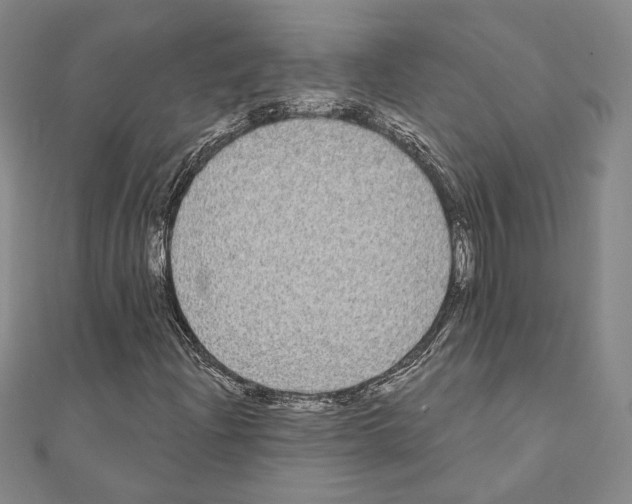 X0000111221204200908131053