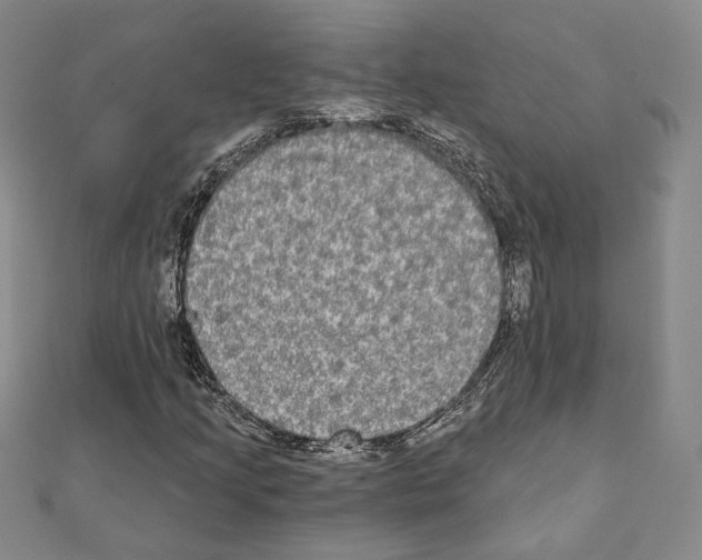 X0000111221205200908131053