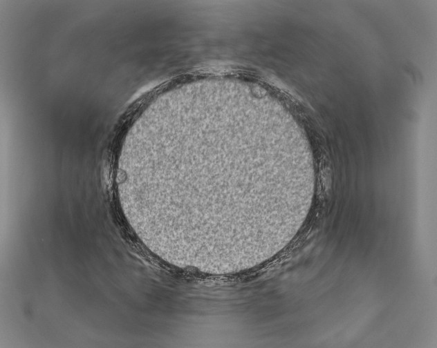 X0000111221206200908131053