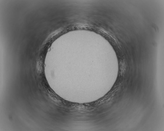 X0000111221207200908131053