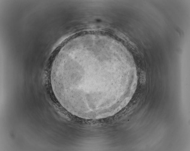 X0000111221208200908131053
