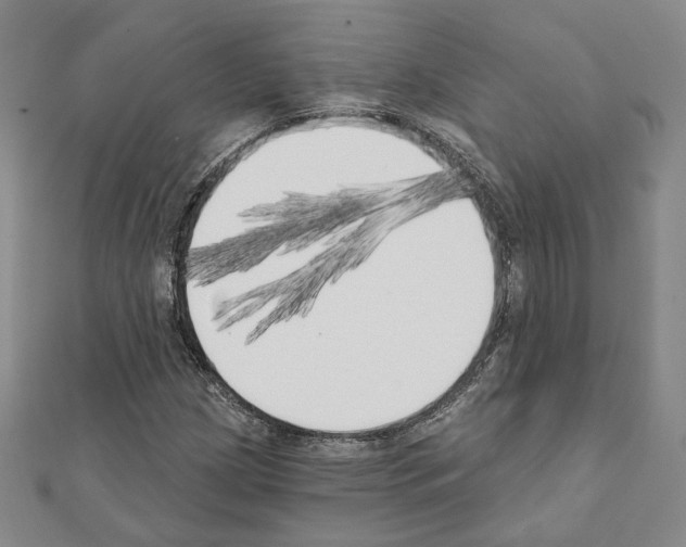X0000111221209200908131053