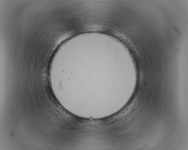 X0000111221210200908131053