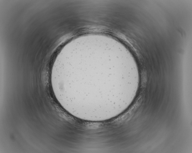 X0000111221211200908131053