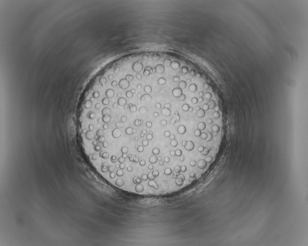 X0000111221212200908131054