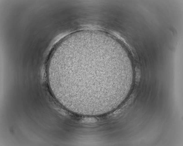 X0000111221215200908131054