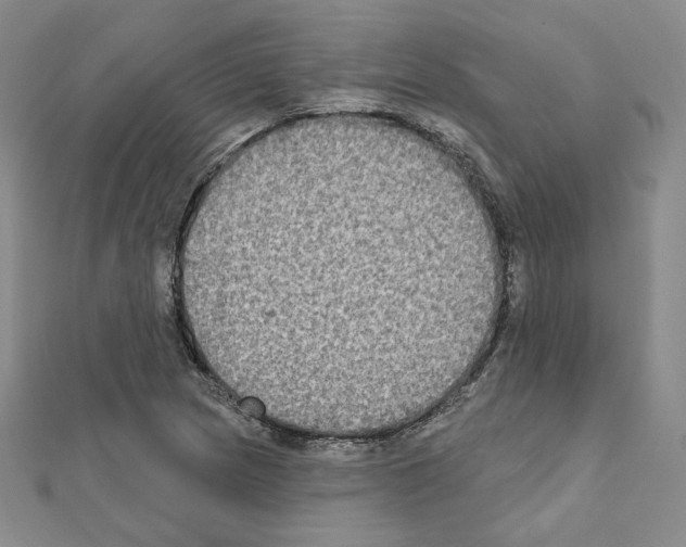 X0000111221217200908131054