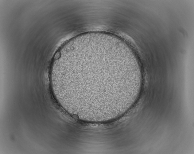 X0000111221218200908131054