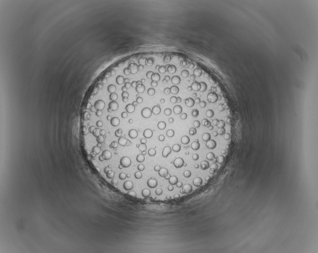 X0000111221220200908131054