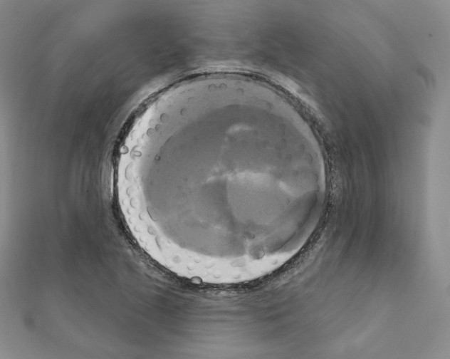X0000111221221200908131054